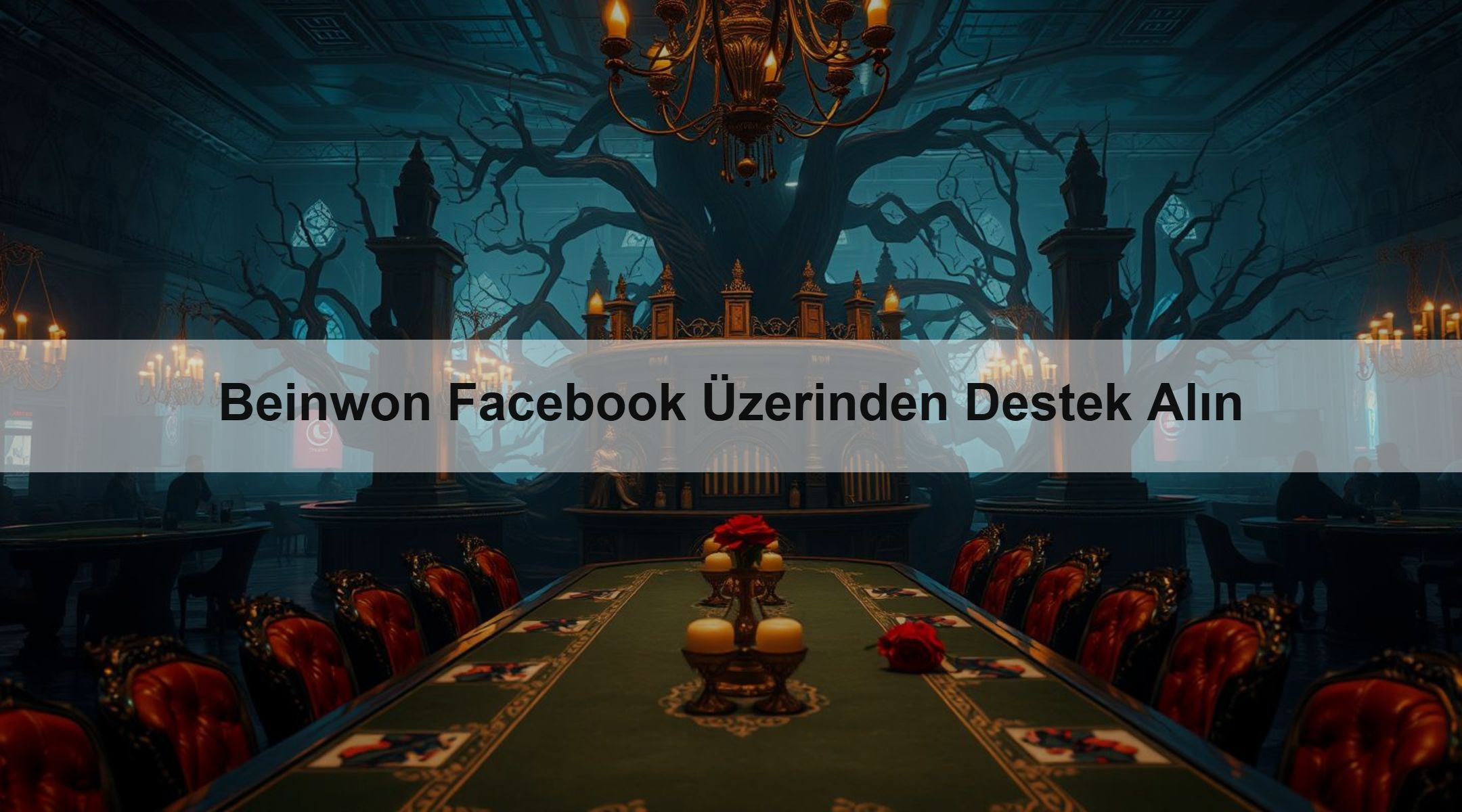 Beinwon Facebook Üzerinden Destek Alın
